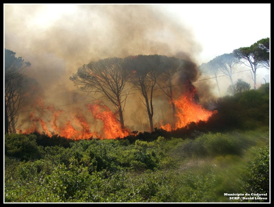 [318363_10151252718983714_656263434_n%255B3%255D.jpg]