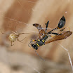 P8250437_Blog.jpg