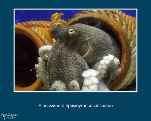 [clip_image012%255B3%255D.jpg]