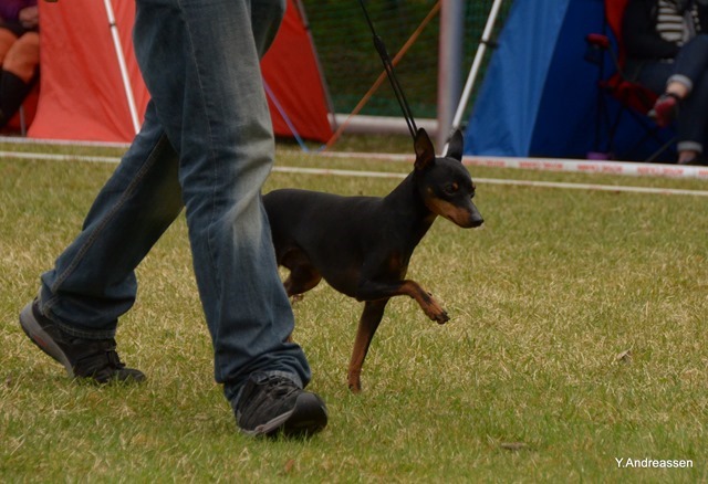 DSC_1149 DSC_1149