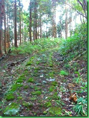 画像 018 画像 018
