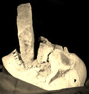 [vamgfrtrtrtrttrt%255B5%255D.jpg]