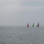 IMG_2991.JPG