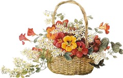 BasketFlowers~V BasketFlowers~V