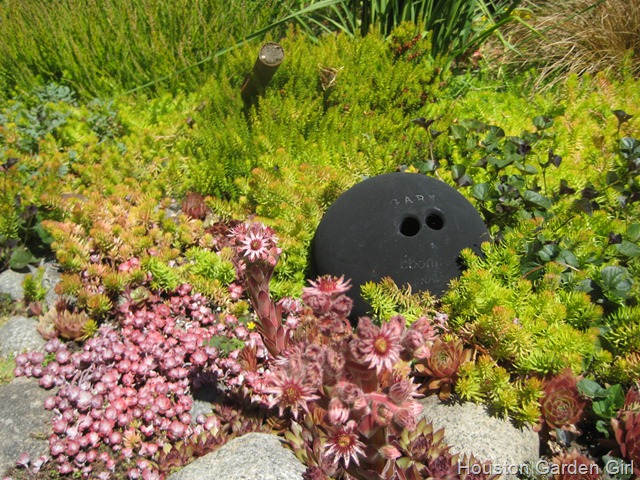 [IMG_3794%255B6%255D.jpg]