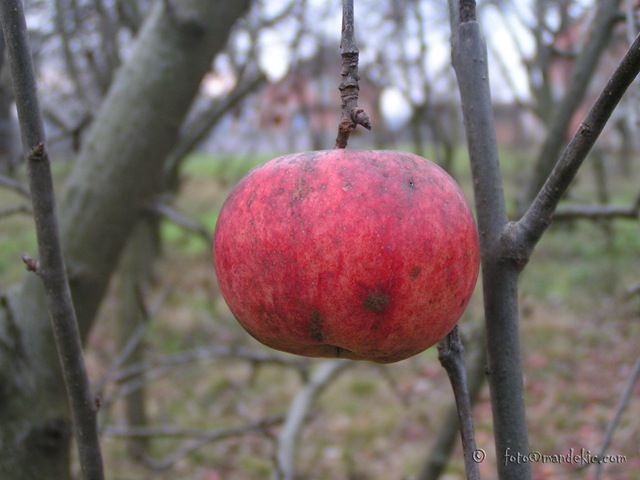 [PICT4128_watermark4.jpg]
