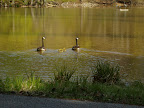 P5100041.JPG
