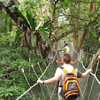 Canopy walk in Kinabalu Park