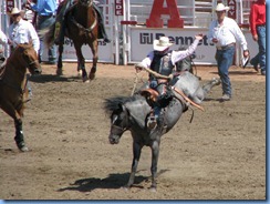 9450 Alberta Calgary - Calgary Stampede 100th Anniversary - Stampede Grandstand - Calgary Stampede Saddle Bronc Championship