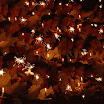 advent2013-moricz-ta-066-MOTION.gif