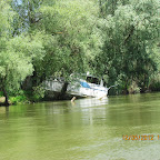IMG_7705.JPG