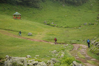 DSC_5774.JPG Photo