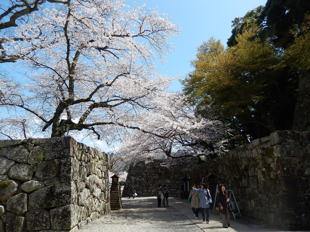 [2013OsakaTrip_Day4_187.jpg]