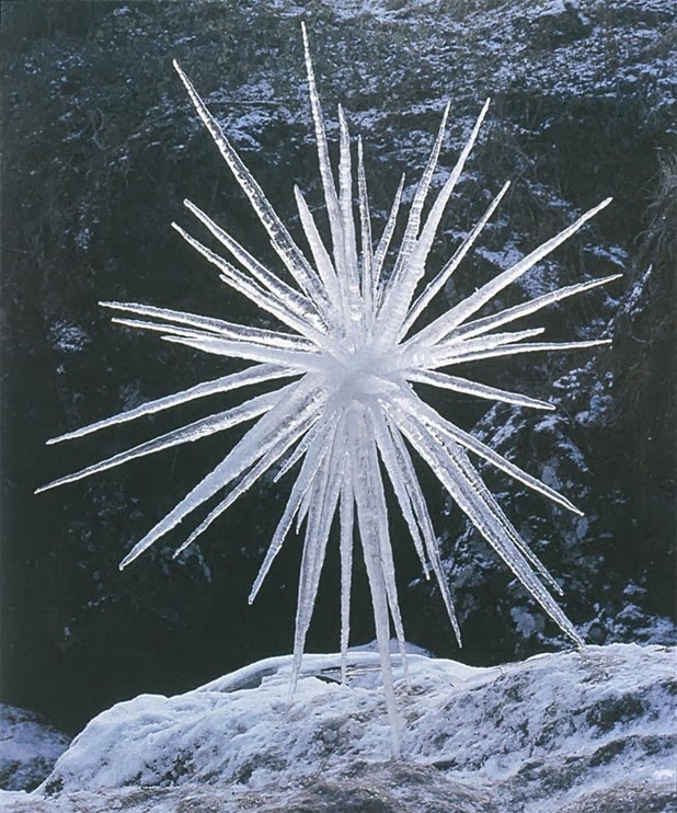 andy goldsworthy 6