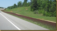 IMG_5778 IMG_5778