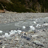 South Island - Fox Glacier