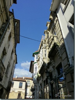 P1030398 P1030398