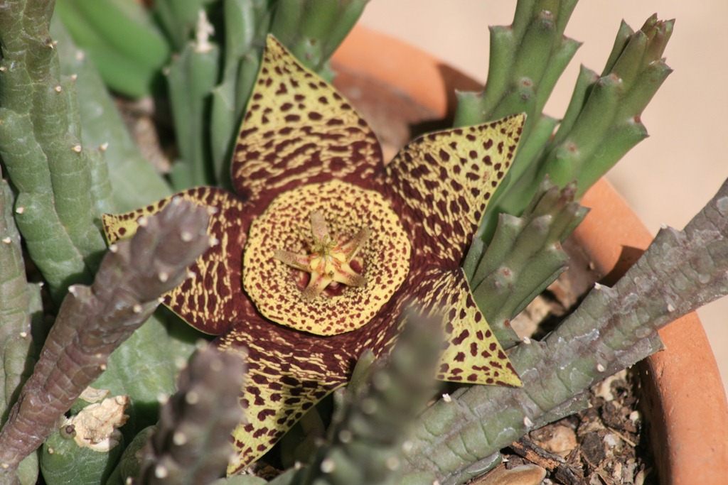 [IMG_6773%255B4%255D.jpg]