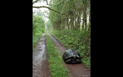 Premiacao-de-melhores-fotos-de-ecologia1b