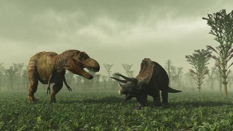 [trex-triceratops%255B3%255D.jpg]
