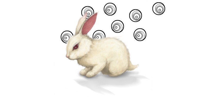 [the_white_rabbit%255B2%255D.jpg]