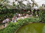 p1300354752(3).jpg