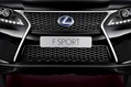 2013-Lexus-RX-450h-F-Sport-8 2013-Lexus-RX-450h-F-Sport-8