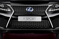 2013-Lexus-RX-450h-F-Sport-8