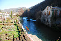 DSC_3477.JPG Photo