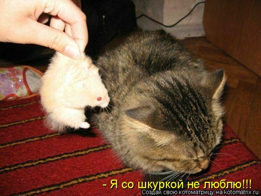 [clip_image002%255B3%255D.jpg]