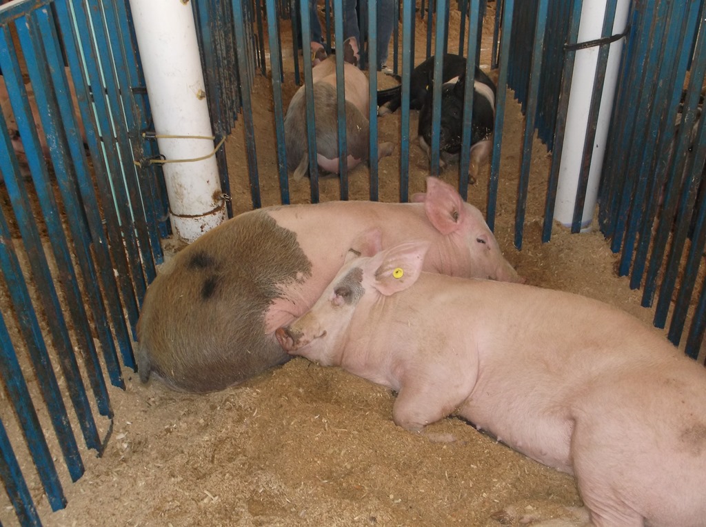 [DSCF5461%255B4%255D.jpg]