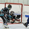 BIPNATS2011-12G6_0003.JPG
