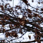 20091201 Allgaeu 0997 [640x480].JPG