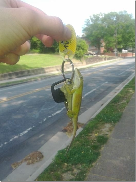 viral-picdump-641f63