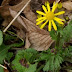 20100306_16