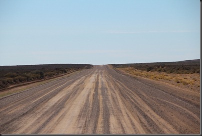 IMG_0481 IMG_0481
