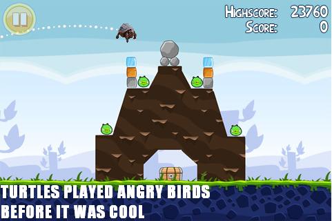 Turtles played angry birds before it was cool