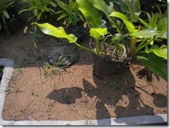 semen yang dibentuk lingkaran diletakkan diatas lubang semen yang dibentuk lingkaran diletakkan diatas lubang
