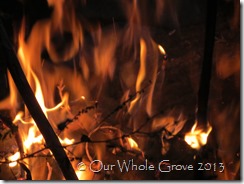 fire spirit fire spirit