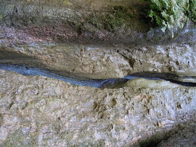 DSCN3883.jpg