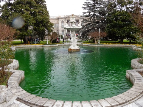 DSCN3536.jpg DSCN3536