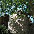 Ermita de Sta. Maria de Gallecs