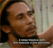 [niver-bob-marley%255B2%255D.gif]