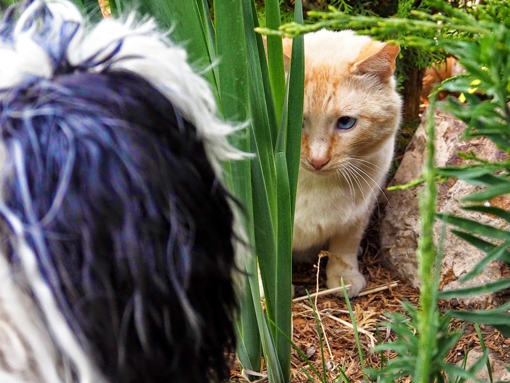 [05041511%255B3%255D.jpg]