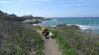 I can too, Sharkey!  Francesca, look at the beautiful view of the ocean!  I can taste the salty air on my tongue and feel the misty spray on my fur from here!