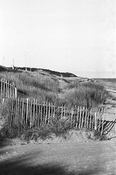 Sand-Dune-Fencing-12