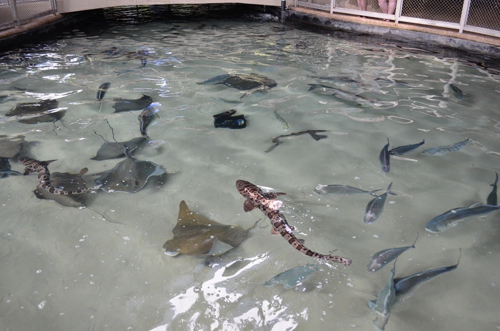 [DSC_8464%255B3%255D.jpg]