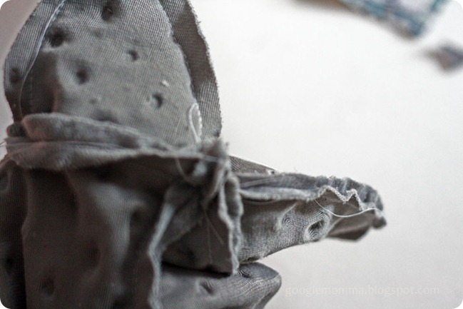 IMG_3785 IMG_3785