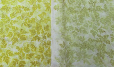 Unbekanntes Waldkraut Eco Print auf Wolle und Seide