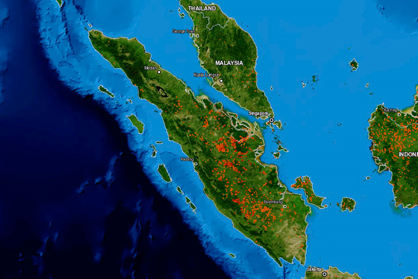 Hot spots recorded by NASA's FIRMS Web Fire Mapper between 22-29 August 2013. Nearly 500 fires are burning across the Indonesian island of Sumatra, raising fears that choking air pollution could return to Singapore and Malaysia. The fires, set to clear land for agriculture, are concentrated in Riau, Jambi, and South Sumatra provinces. Like the fires that charred the region two months ago, much of the burning is taking place on peat soils, making them difficult to extinguish. Graphic: NASA